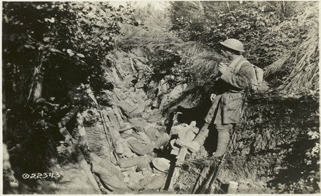 "Chocolate Bars: The Military’s Best Kept Secret  – True Treats Candy"