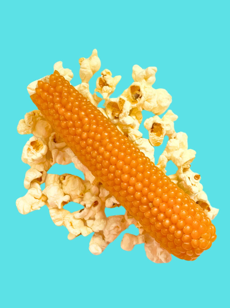 Retro Popcorn Collections