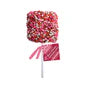 Giant Confetti Marshmallow Lollipop