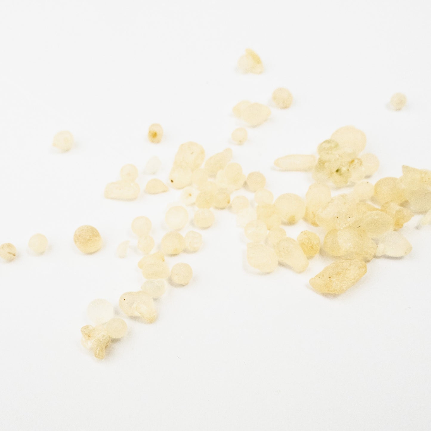 Mastic Resin - First Chewing Gum