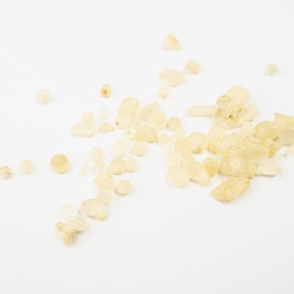 Mastic Resin - First Chewing Gum
