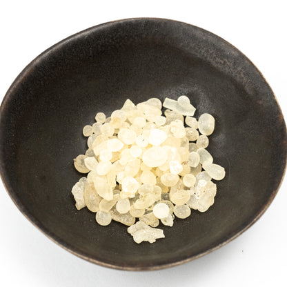 Mastic Resin - First Chewing Gum