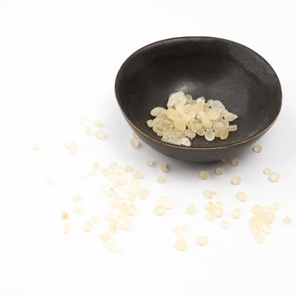 Mastic Resin - First Chewing Gum