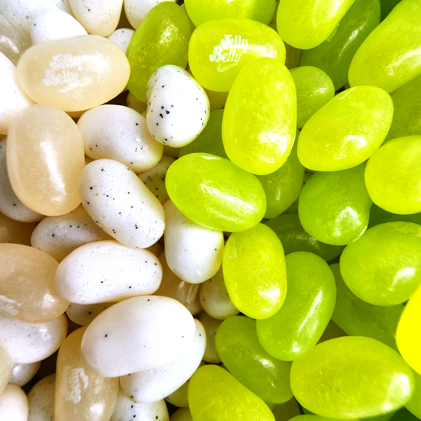 Jellybean Lemon Lime Soda