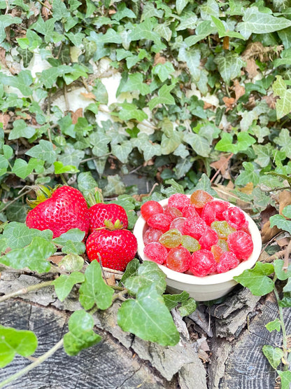 Native Strawberry Drops